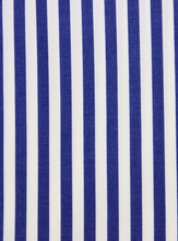 Carica l&#39;immagine nel visualizzatore di Gallery, Camicia a righe blu regular collo button down 4669
